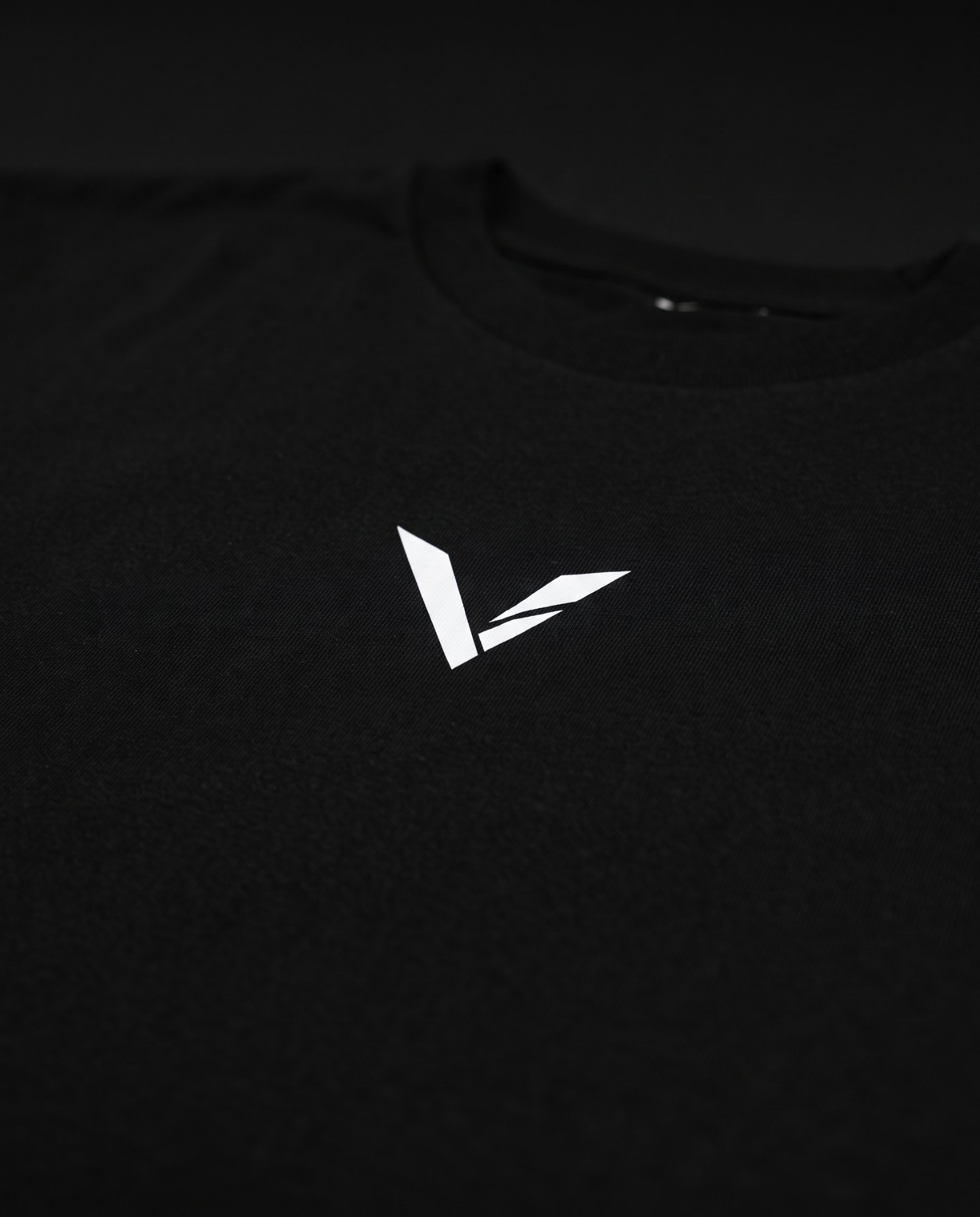 VELOCO Arrival Heavyweight Tee, photo 4